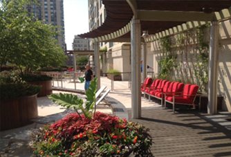 One Superior Pergola Seating